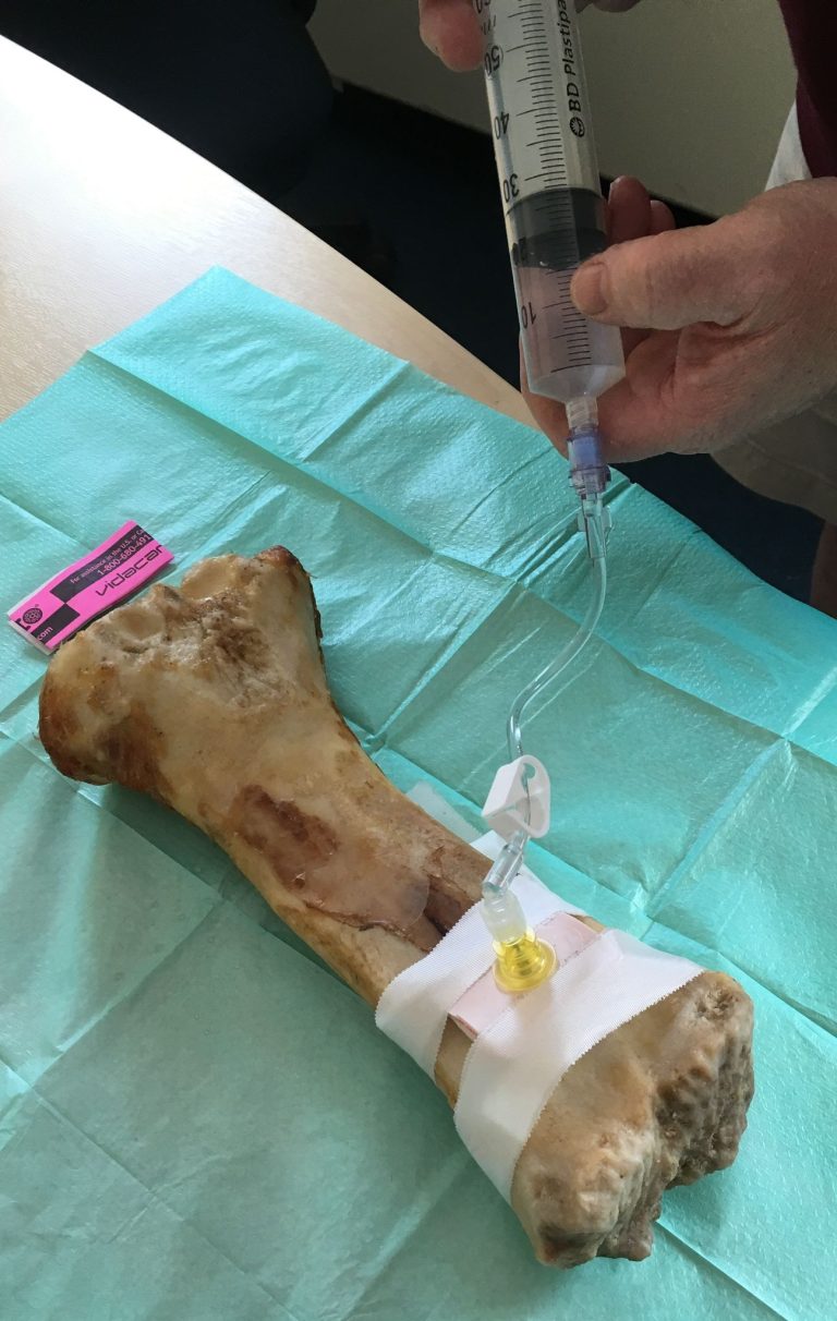 WhatsApp Image 2024 03 21 at 21.24.25 768x1212